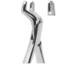 Extracting Forceps American pattern